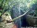 covadonga,casas de aldea rurales,casa rural ,casas de aldea,rurales,casa rural cangas de onis